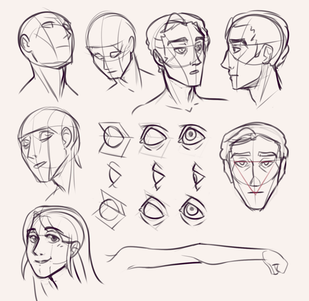 Позы головы человека. Рисование головы в разных ракурсах. Ракурсы головы для рисования. Человек с разных ракурсов. Анатомия лица для рисования.