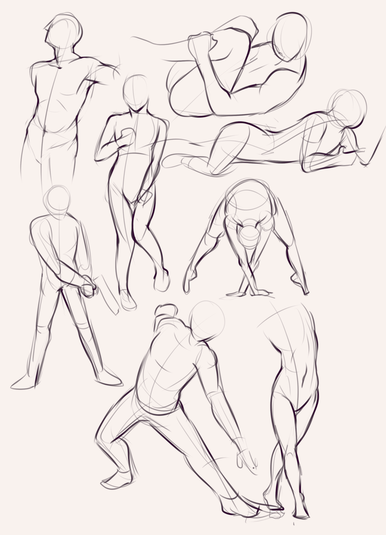 CLASS101+ | Draw a soft human body, the theory and application of croquis