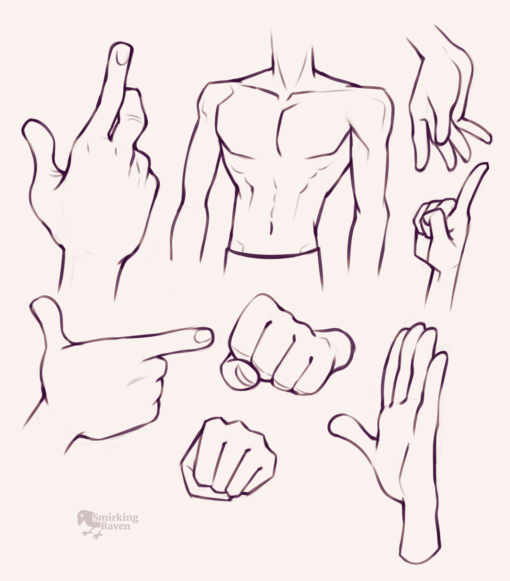 Hand anatomy - Drawing drill by Smirking Raven